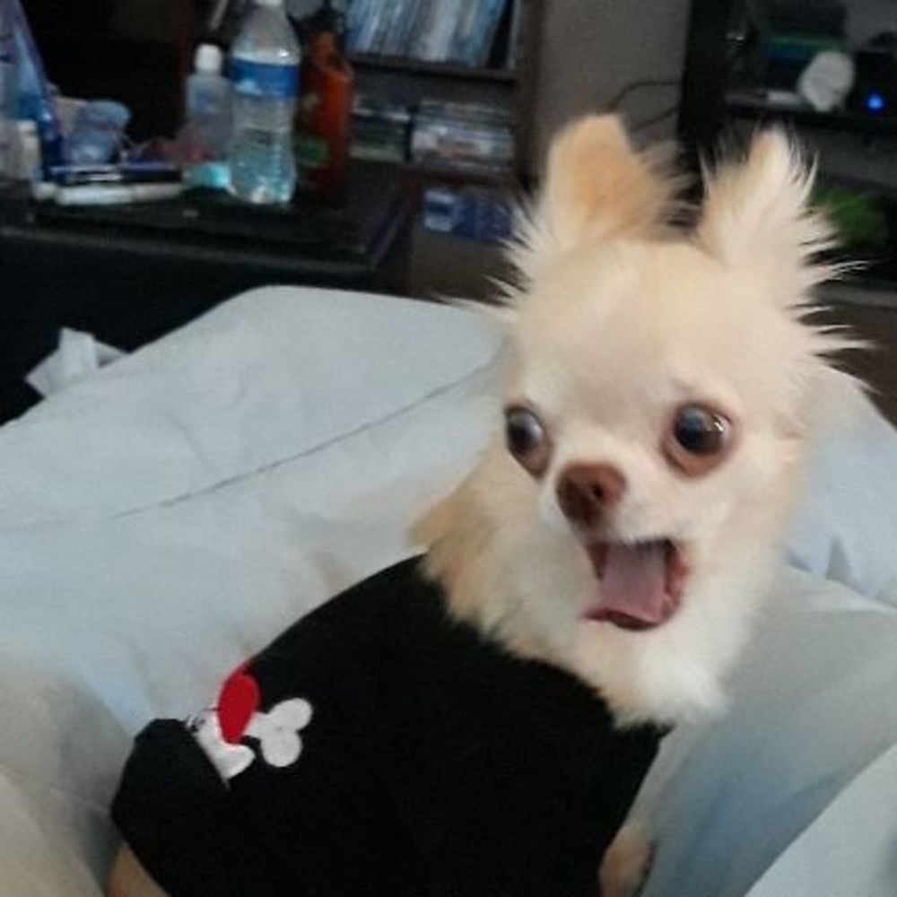 Meet your Posher, Heather